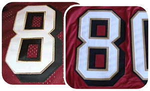 49ers shadow jersey
